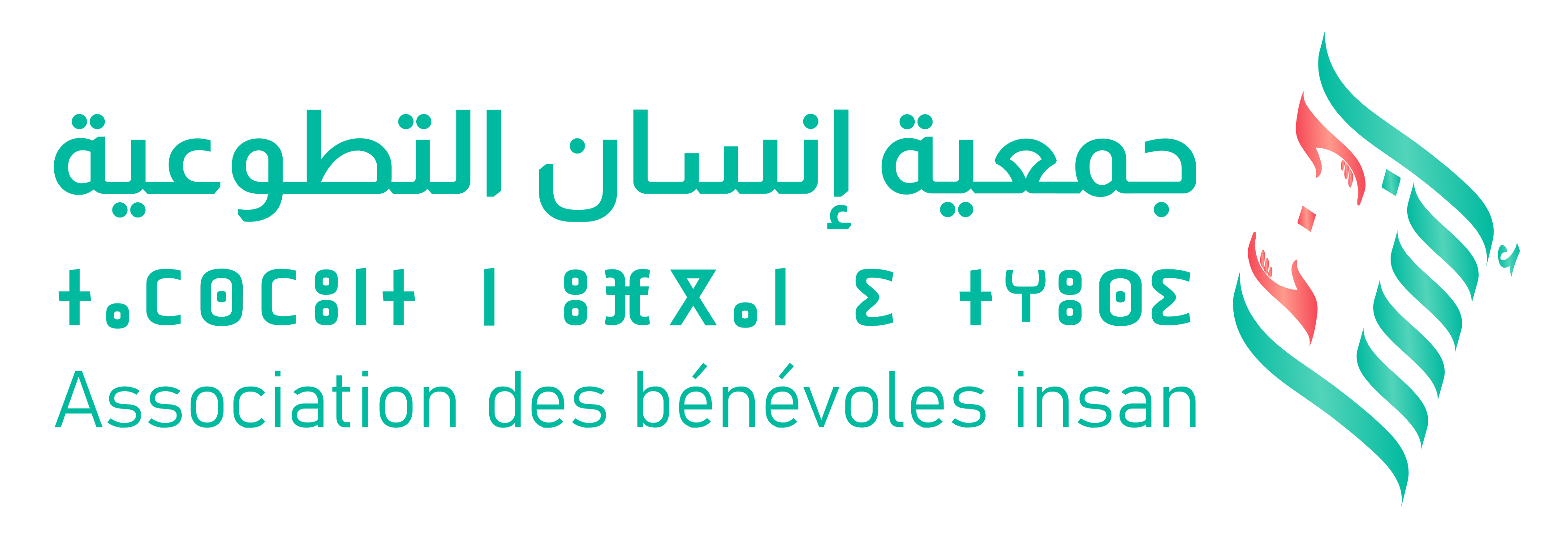Association de Bénévoles insan guelmim (جمعية إنسان التطوعية كلميم) 